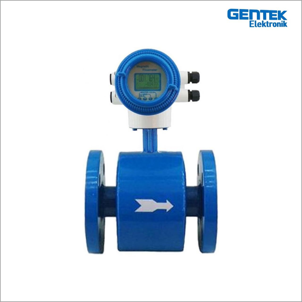 DN 65 PTFE ELEKTROMANYETİK DEBİMETRE Hastelloy C Elektrod