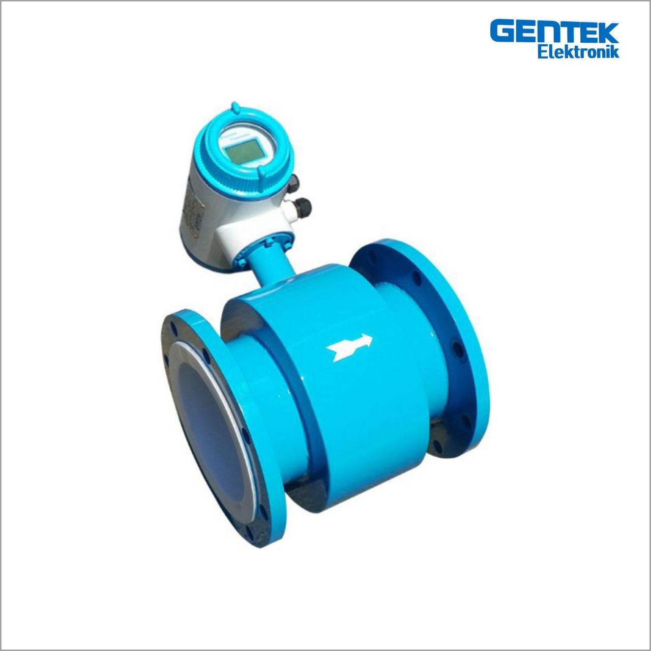 DN 100 PTFE ELEKTROMANYETİK DEBİMETRE Ayrık Gösterge